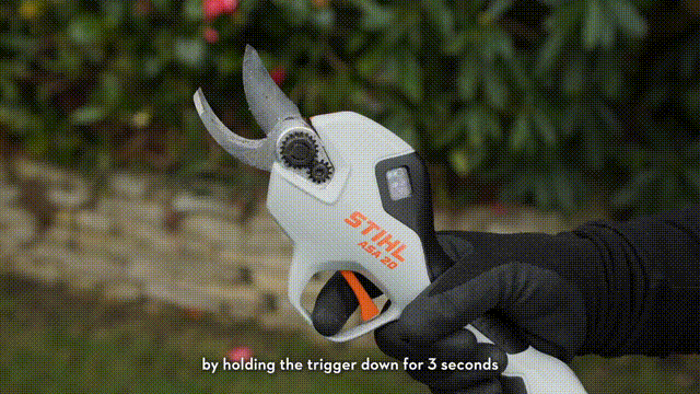 pic_012.gif