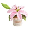 Crochet Flowers Potted Plants Decorative Crochet Ornaments DIY Gifts for Friends