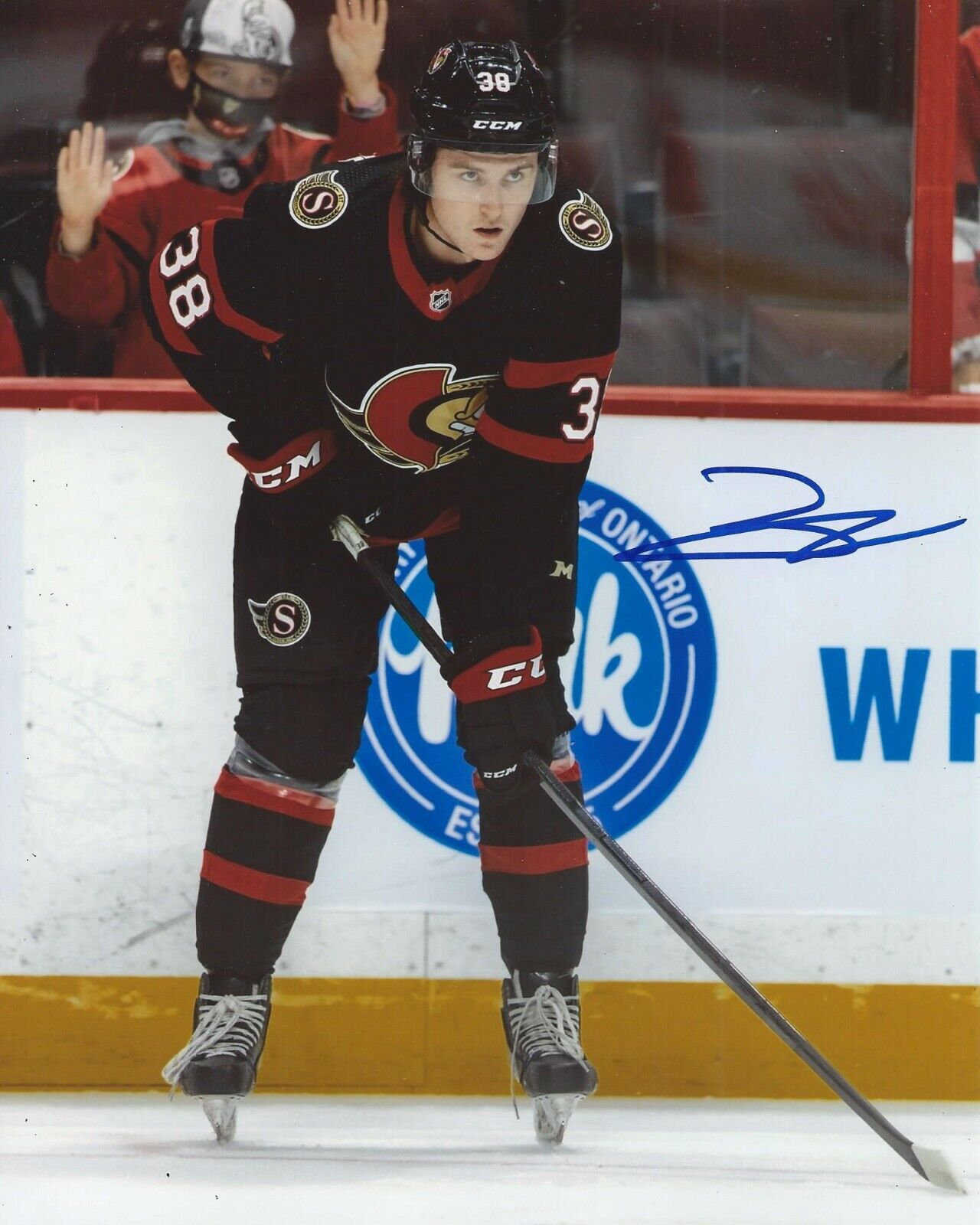 Zack Ostapchuk Signed 8x10 Photo Poster painting Ottawa Senators Autographed COA