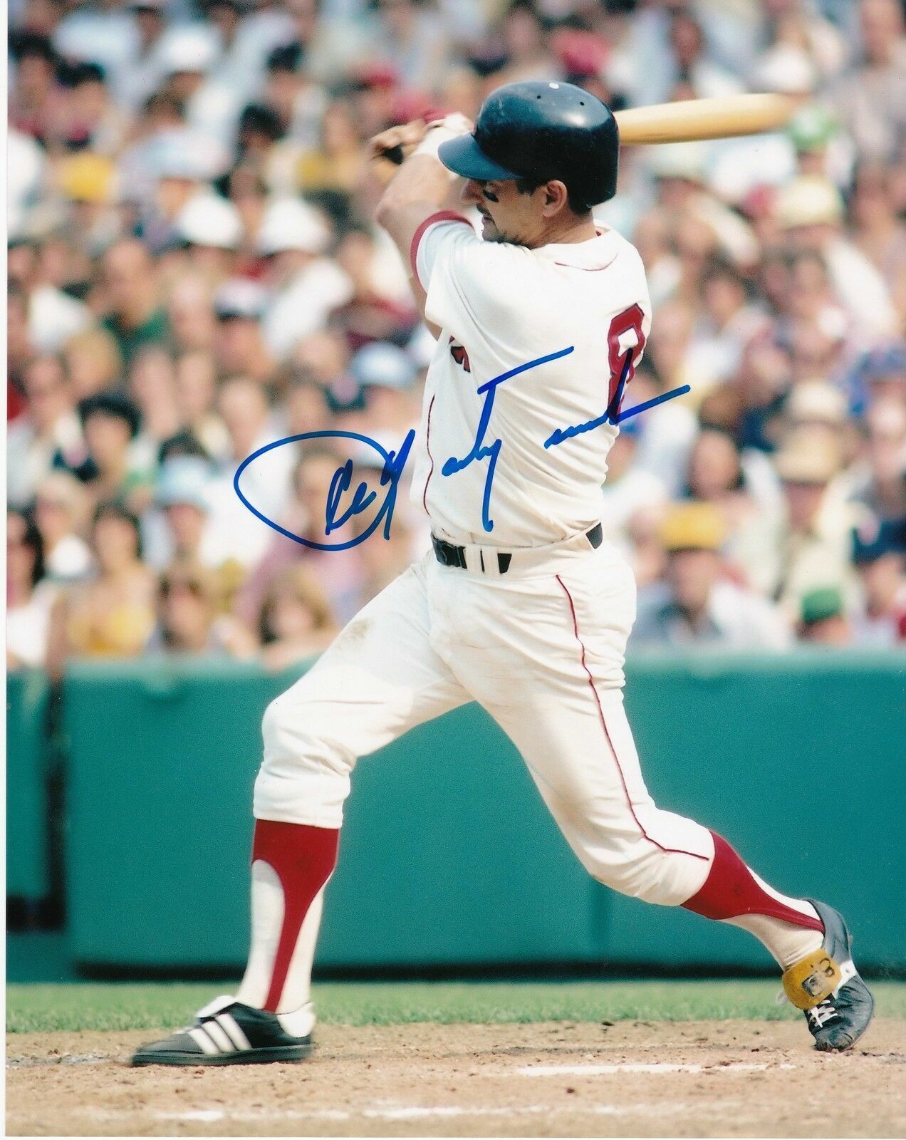 Carl Yastrzemski Autographed Signed 8x10 Photo Poster painting ( HOF Red Sox ) REPRINT