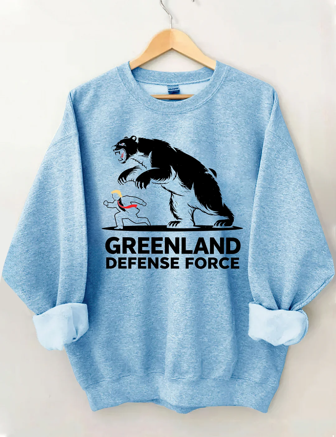 Greenland And Defense Force Sweatshirt