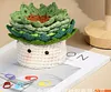 Potted Plant Coasters Crochet Kit with Step-By-Step Video Tutorials, Crochet Hooks for Adults