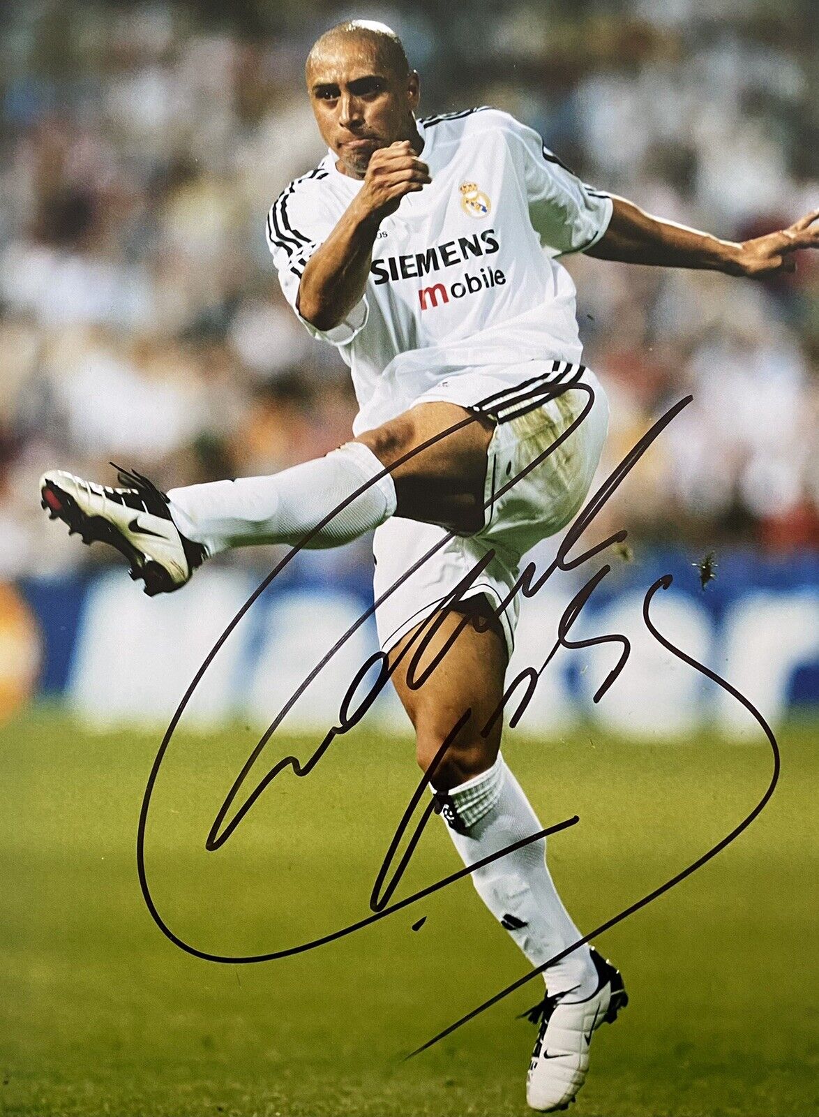 Roberto Carlos Hand Signed Real Madrid 16x12 Photo Poster painting 2