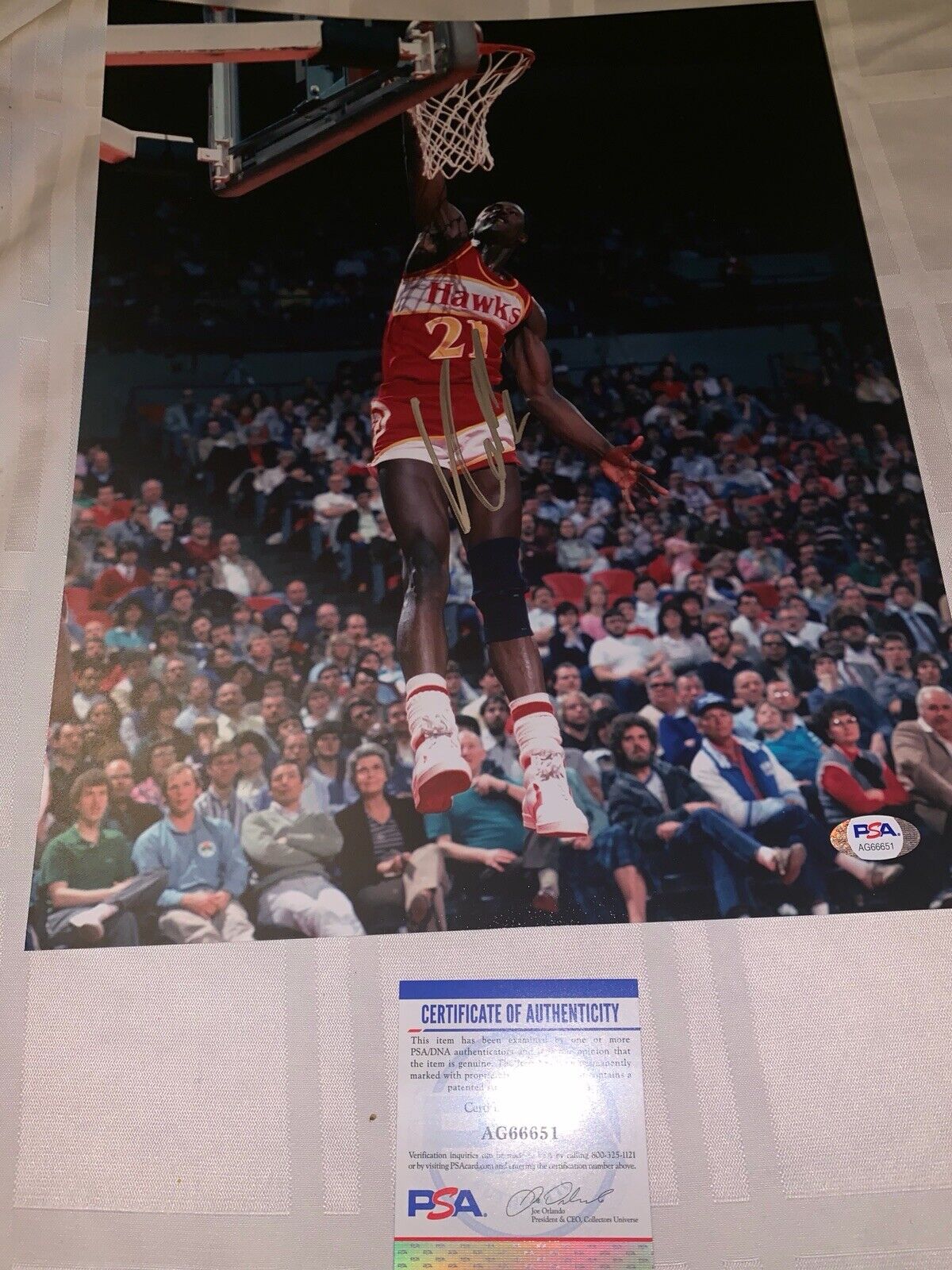 Dominique Wilkins Signed Atlanta Hawks 11x14 Photo Poster painting - PSA/DNA COA