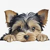 Yorkshire Terrier-11CT Stamped Cross Stitch 40*40cm/15.75*15.75in tapestrymarket
