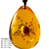 Insect Amber Pendant Natural Butterfly Specimen Insect Amber Necklace Children's Hanging Accessories