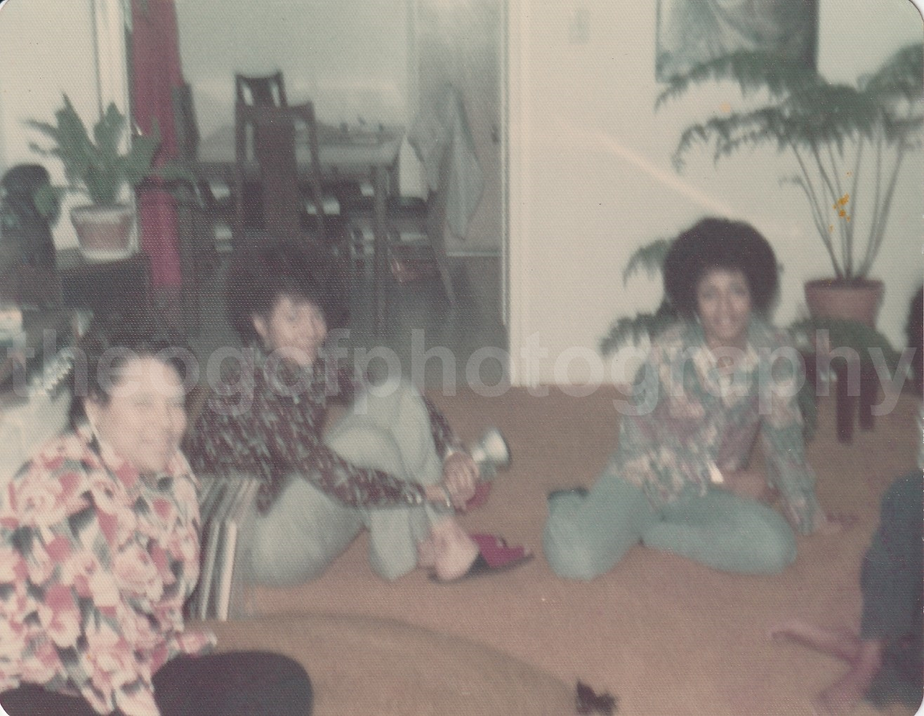 1970's FLOOR GIRLS Found Photo Poster paintingGRAPH ColorOriginal VINTAGE 22 36