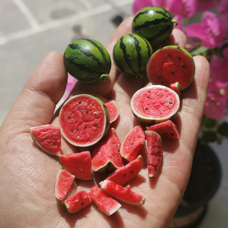 Rare Thumb Watermelon Seed