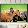 Diamond Painting -DIY Full Square Drill Snuggling Horses