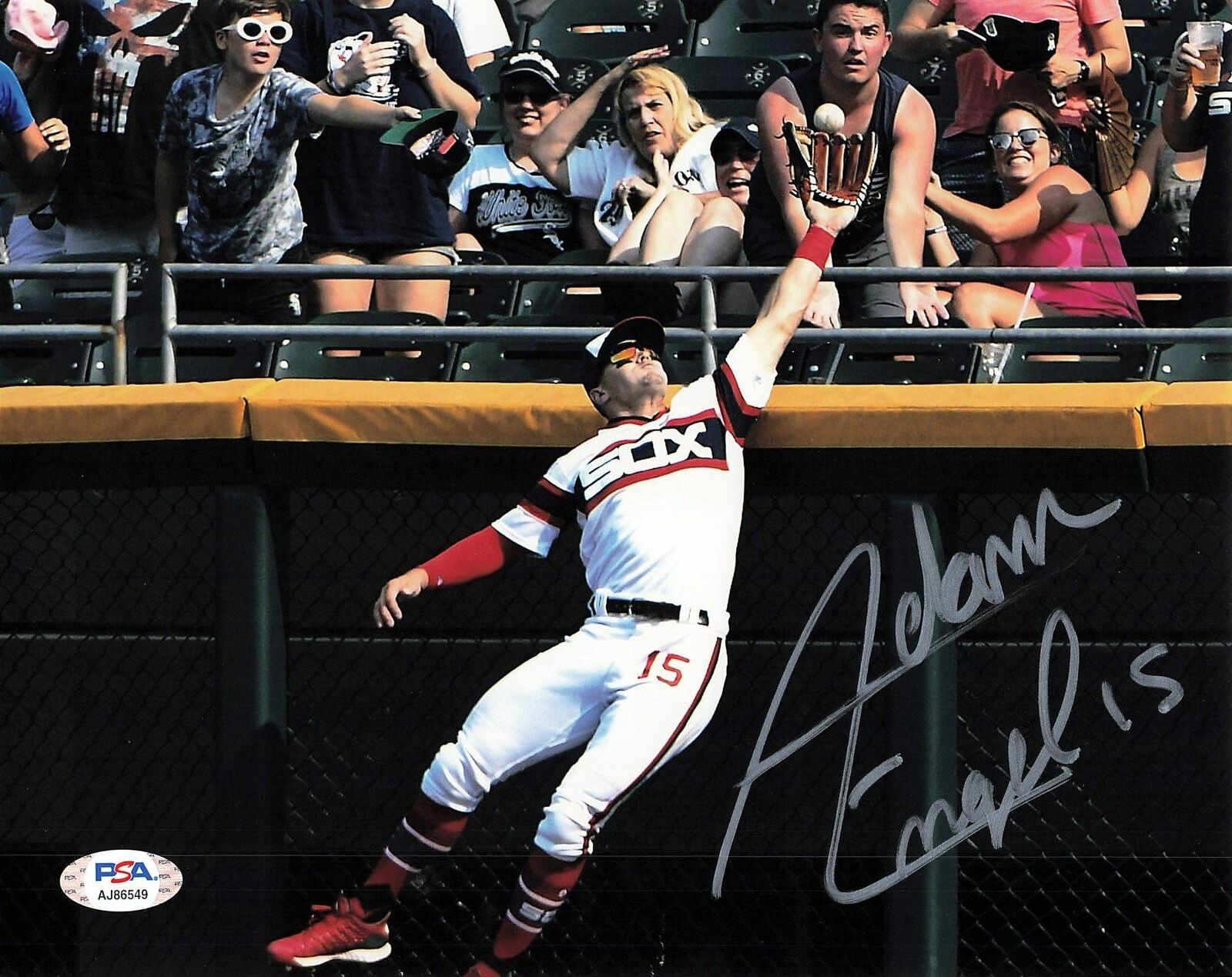 ADAM ENGEL signed 8x10 Photo Poster painting Chicago White Sox PSA/DNA Autographed