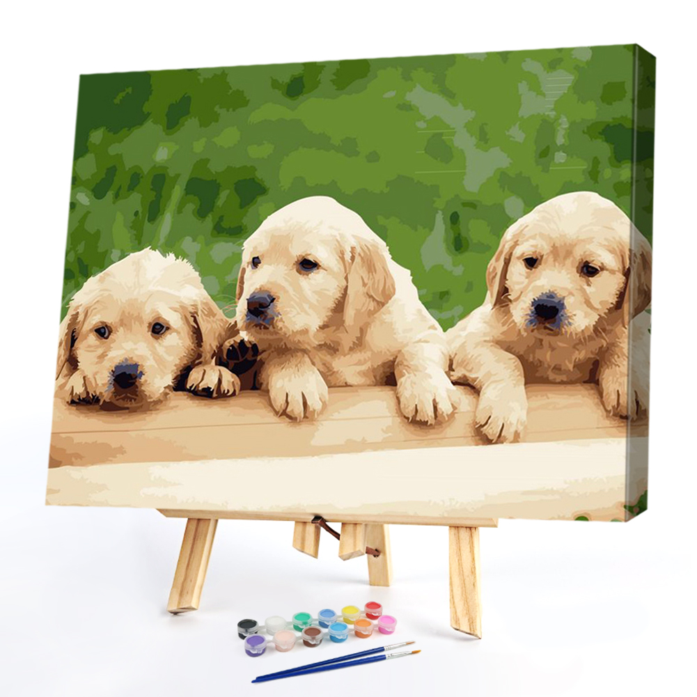 

40*50CM Paint By Numbers-Dog, 501 Original