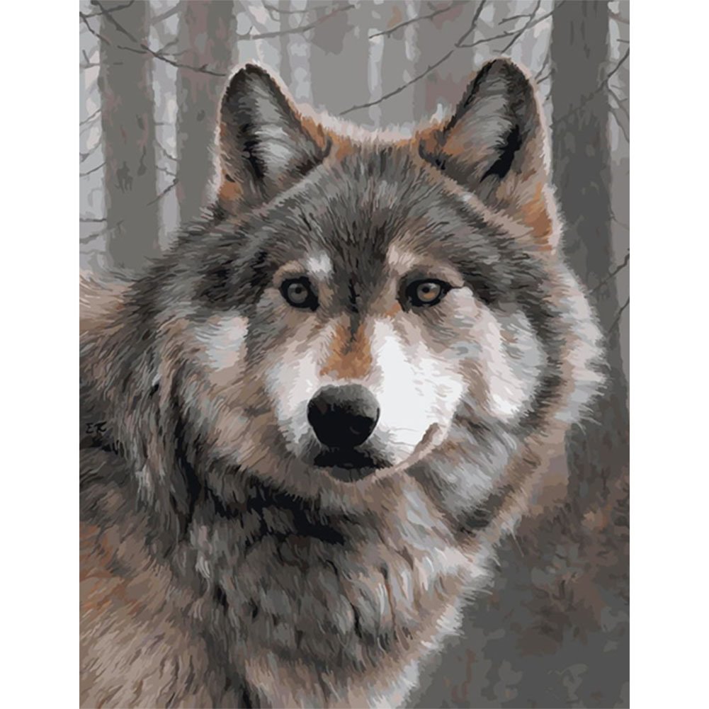Gray Wolf - Paint By Numbers