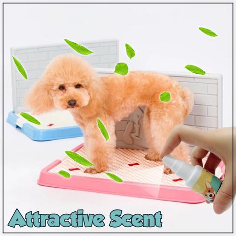 Pet Toilet Training Aid
