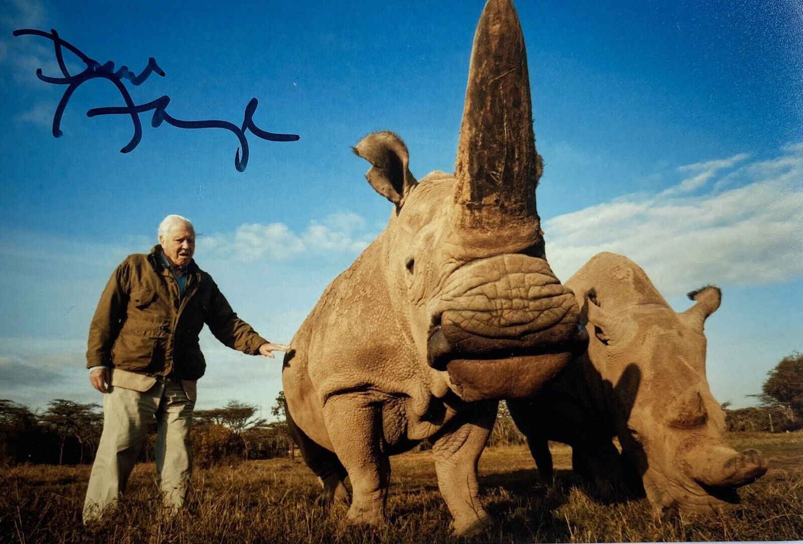 Sir David Attenborough Genuine Hand Signed 6x4 Photo Poster painting 16