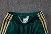 Joyfball 2026/2027 Kids Size Italy Half-Pull Training Suit green Soccer Shirt