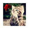 Naughty Kitten Cat Rose 5D Diamond DIY Painting Craft Home Decor