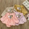 Baby Born Girls Long Sleeve Emboridery Flower Autumn Dresses