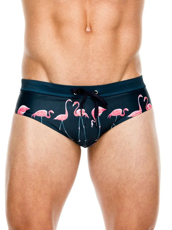 Flamingo Print Trunks