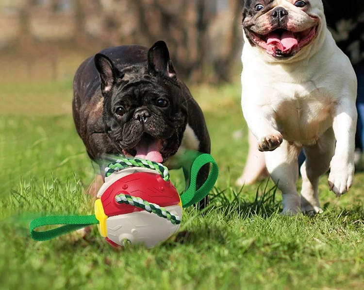 Multifunctional Outdoor Entertainment Dog Toys