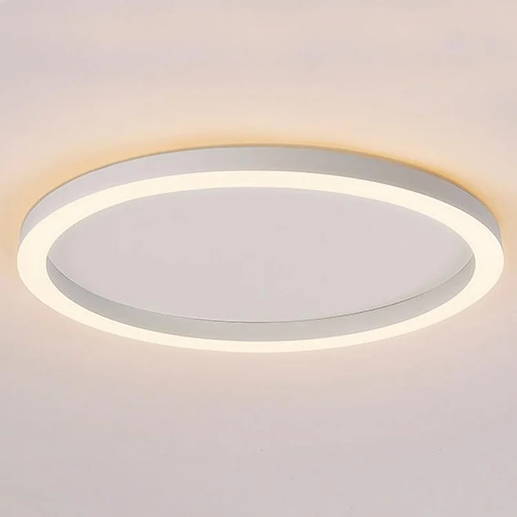 16'' Modern Simple Circle Flush Mount LED Lights Dimmable Ceiling Lights with Remote - Appledas