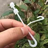 50pcs Plant Grape Vines Support Clips Trellis Fruit Cherry Tomato Ear Hook