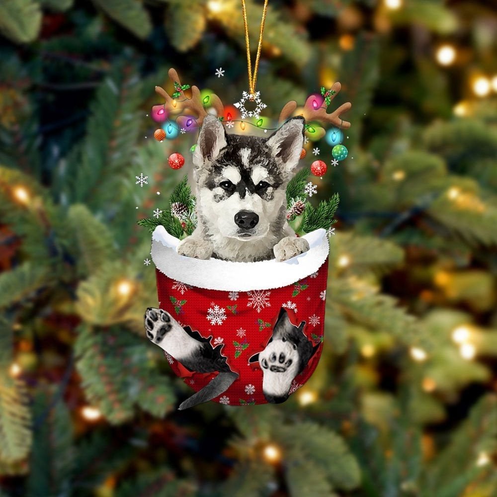 Alaskan Malamutes In Snow Pocket Christmas Ornament