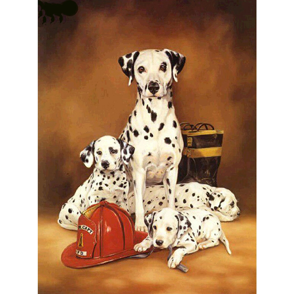 

Dalmatian Dog - Round Drill Diamond Painting - 30*40CM, 501 Original