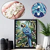 Diamond Painting-DIY Special Shaped Drill Pearl Painting Parrot(30x40cm)