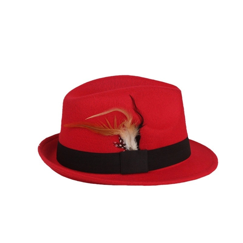 Spring And Autumn New Hat Korean Style Casual Ostrich Fur British Retro Feather Jazz Hat Women’s Woolen Basin Hat