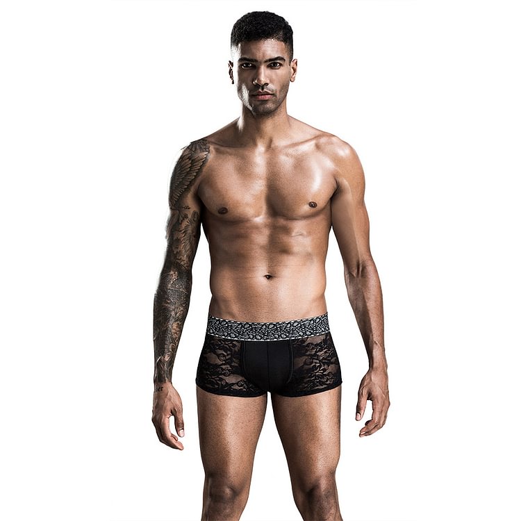 Lace Sexy Erotic Briefs Black See-Through Men's Boxer Briefs