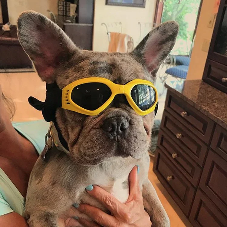 Foldable Pet Glasses Dog Cat Sunglasses Goggles Adjustable