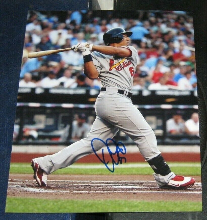 Jon Jay St Louis Cardinals SIGNED AUTOGRAPHED 8x10 Photo Poster painting COA Baseball MLB CHAMPS