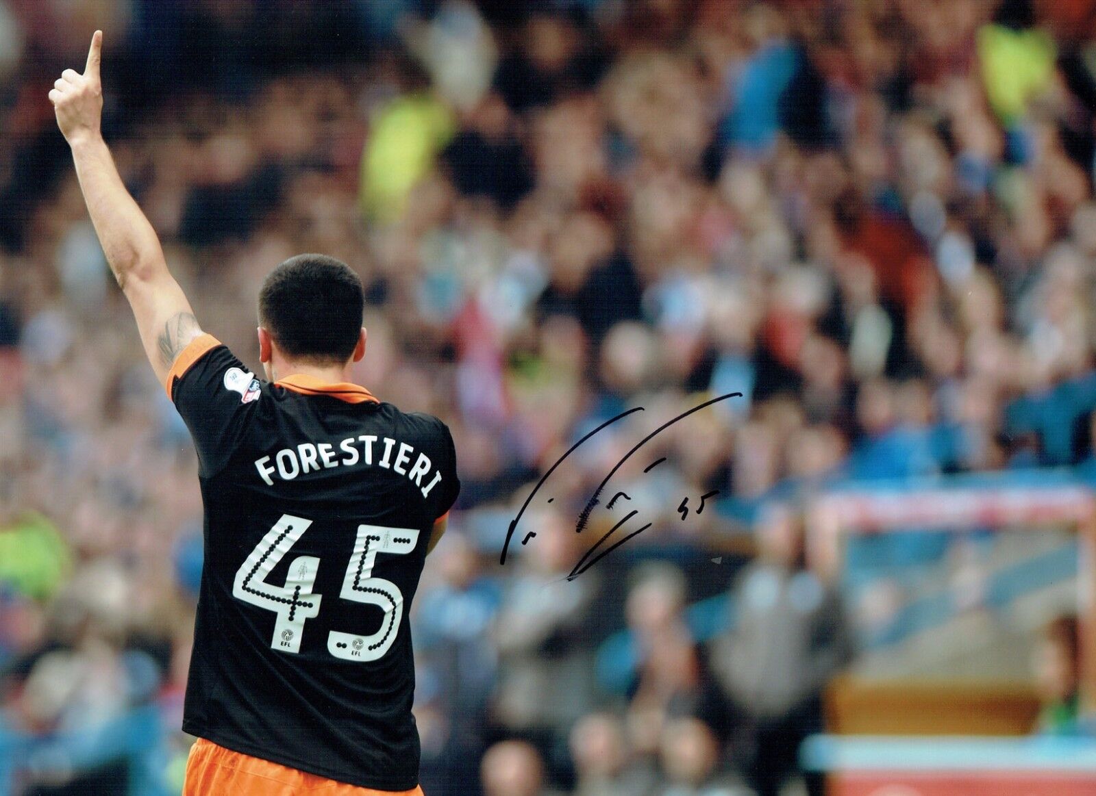 Fernando FORESTIERI Sheffield Wednesday SIGNED 16x12 Photo Poster painting 2 AFTAL Autograph COA