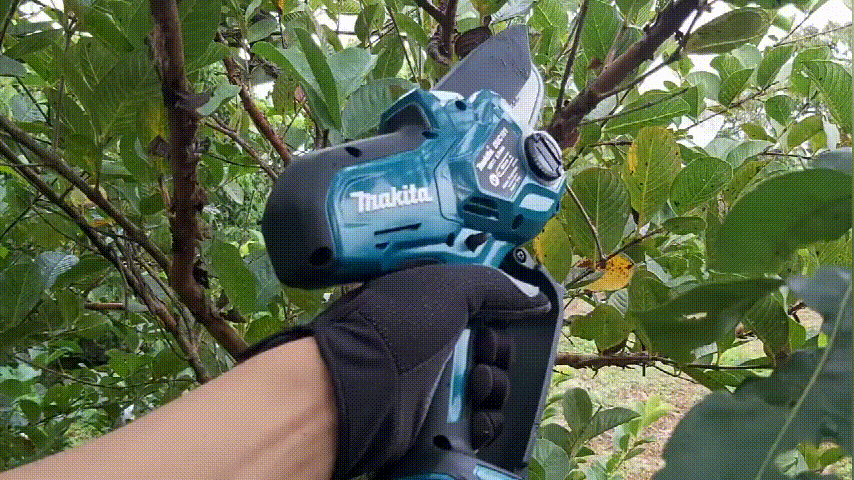 1712561403345428.gif 动图3.gif.gif