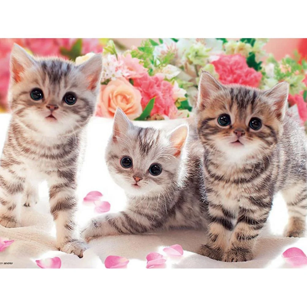 Full Round Diamond Painting - 3 Cats(30*40cm)