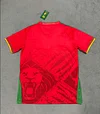 2025 Cameroon Away Football Shirt 1:1 Thai Quality