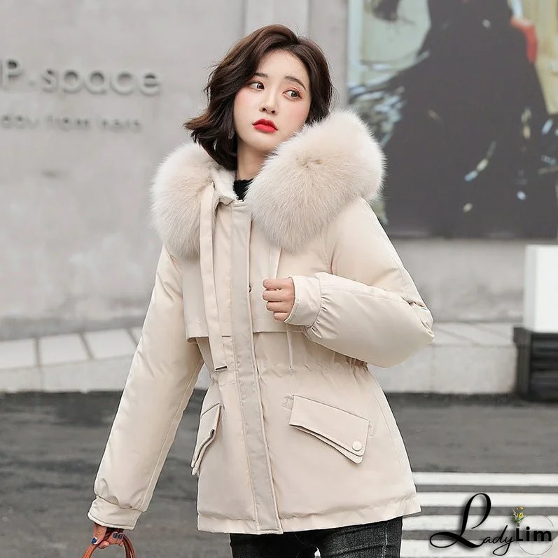 Timeless and Stylish winter Shorts