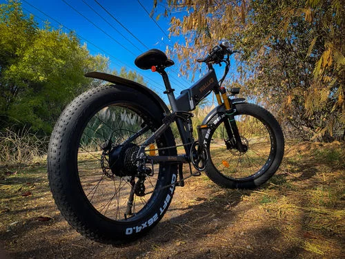 Walker Electric Bike