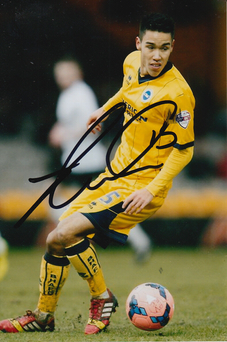 BRIGHTON HAND SIGNED ADAM CHICKSEN 6X4 Photo Poster painting 1.