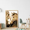 Horse - 9CT Partial Beaded Cross Stitch Kit(28x41cm)