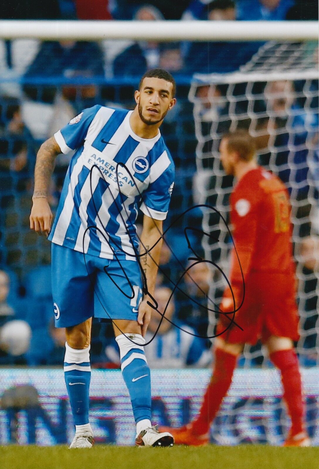 BRIGHTON & HOVE ALBION HAND SIGNED CONNOR GOLDSON 12X8 Photo Poster painting 1.