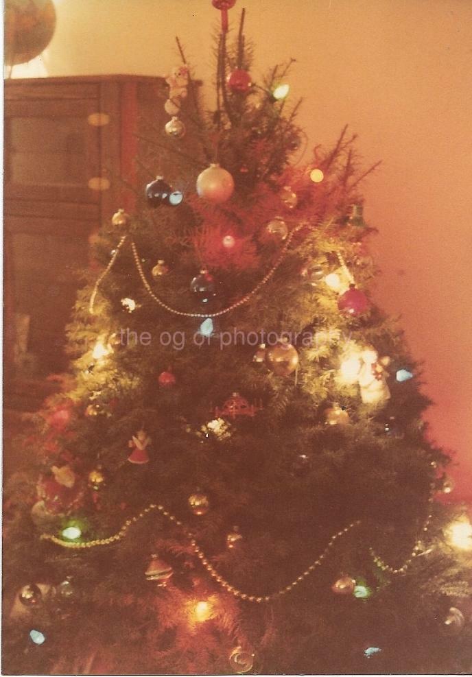 Christmas Tree FOUND Photo Poster painting ColorOriginal Snapshot VINTAGE 04 25