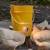 Chicken Feeder Poultry Feeding Supplies Poultry Feeder Port Gravity Feed Kit For Buckets Barrels Bins Troughs