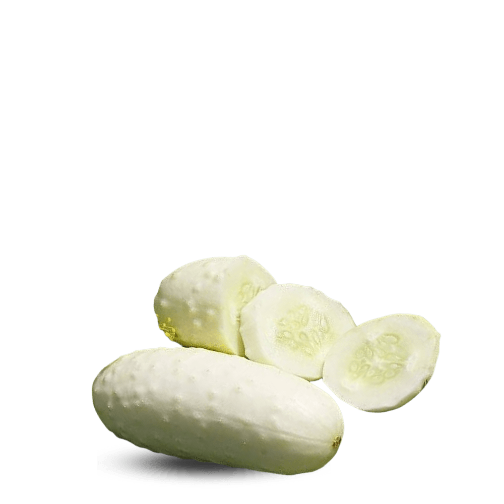 Heirloom Cucumber Seeds - White wonder