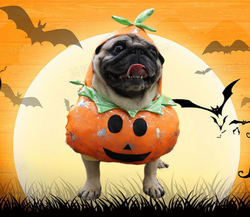 Halloween Pumpkin Pet Costume Dog Cosplay-VESSFUL