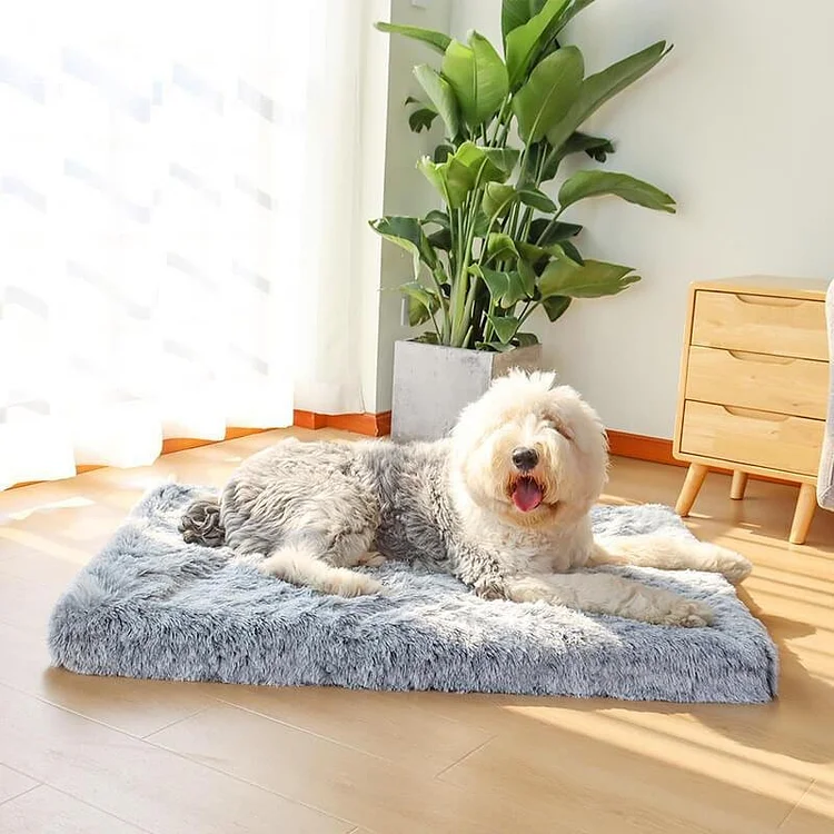 Plush Calming Orthopedic Comfy Memory Foam Dog Mattress