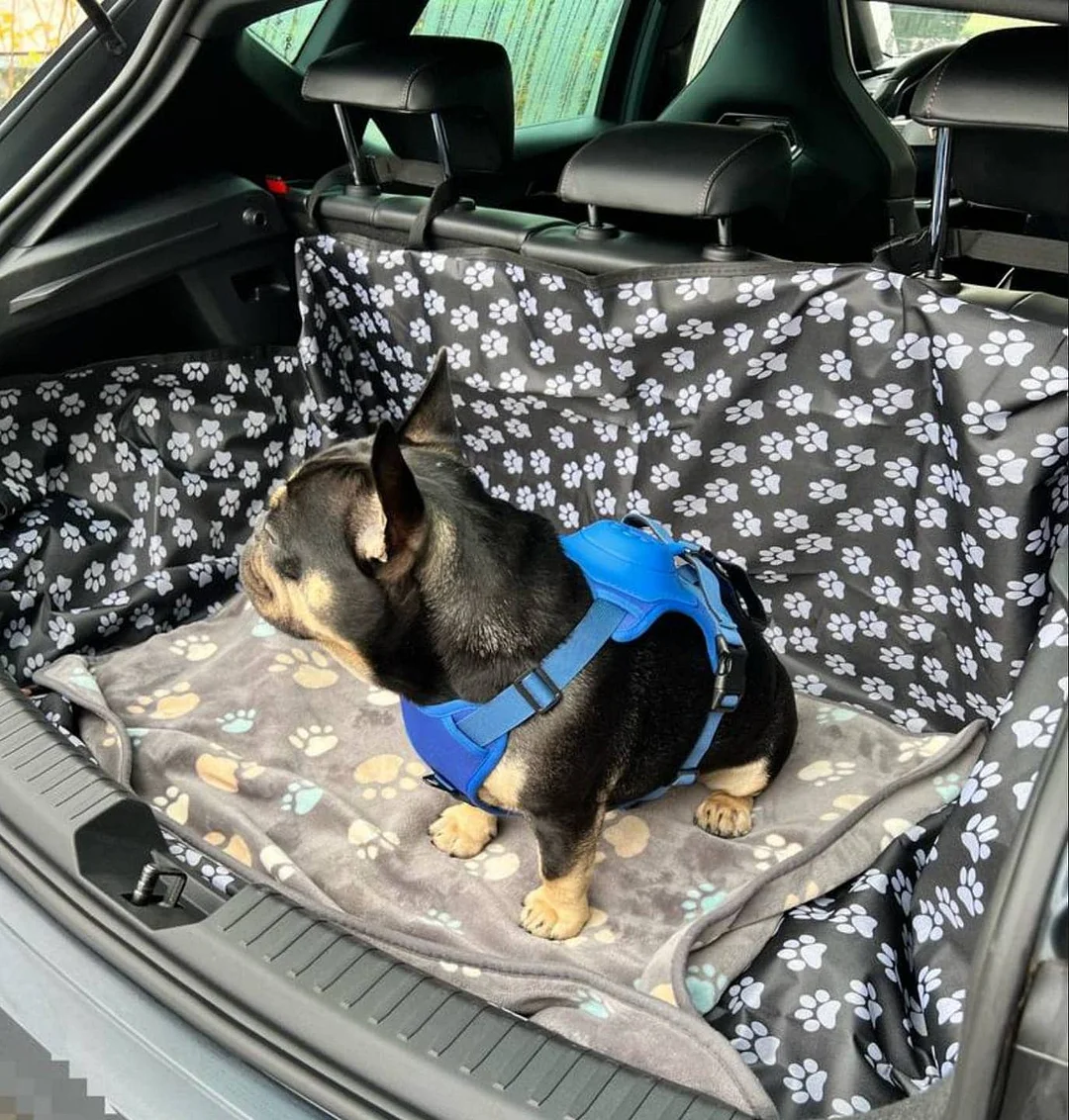 SmartPaw&trade;️ Harness + Leash - 2 in 1