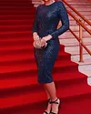 Shiny Round Neck Long Sleeve Dress