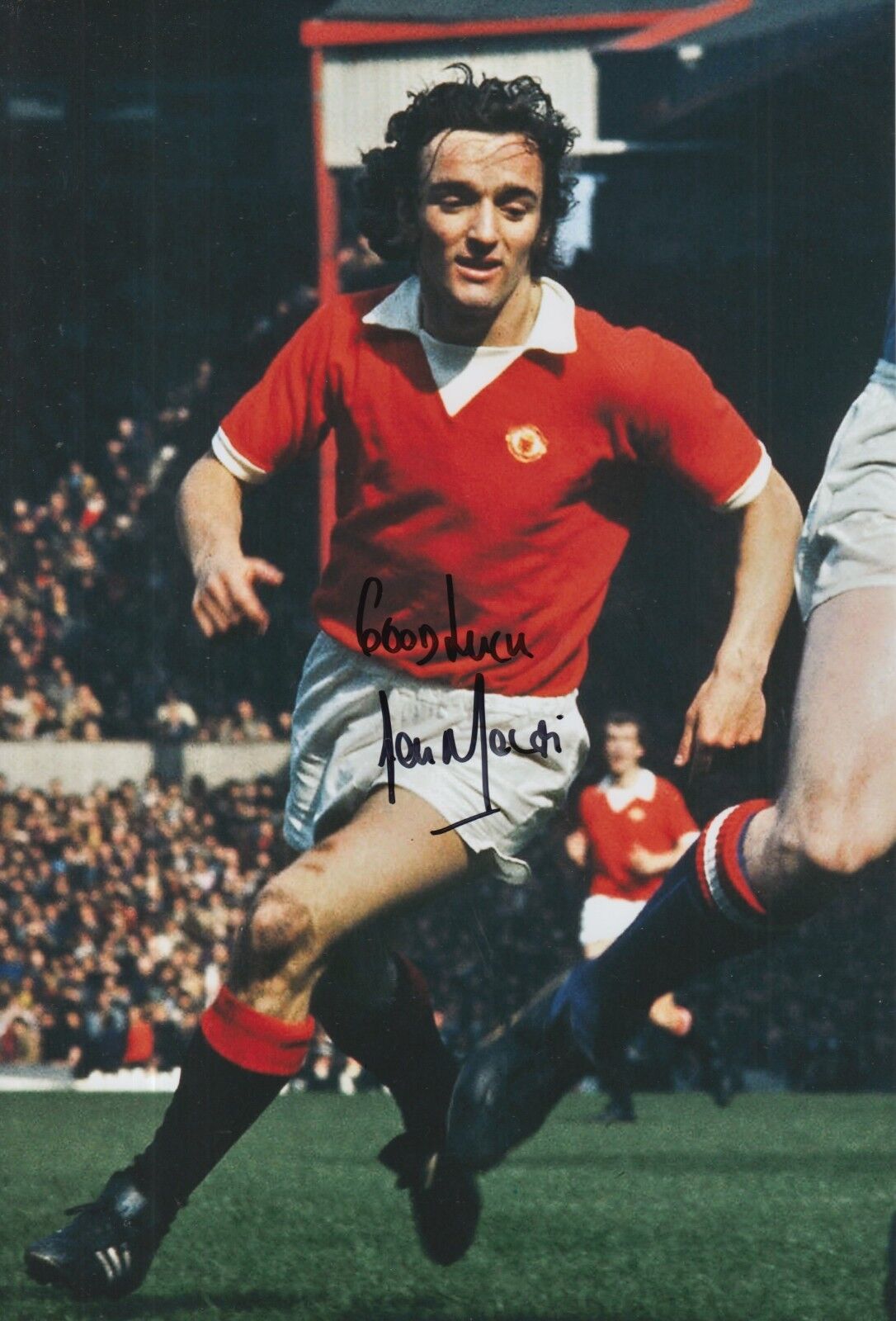 Lou Macari Hand Signed Manchester United 12x8 Photo Poster painting 2.