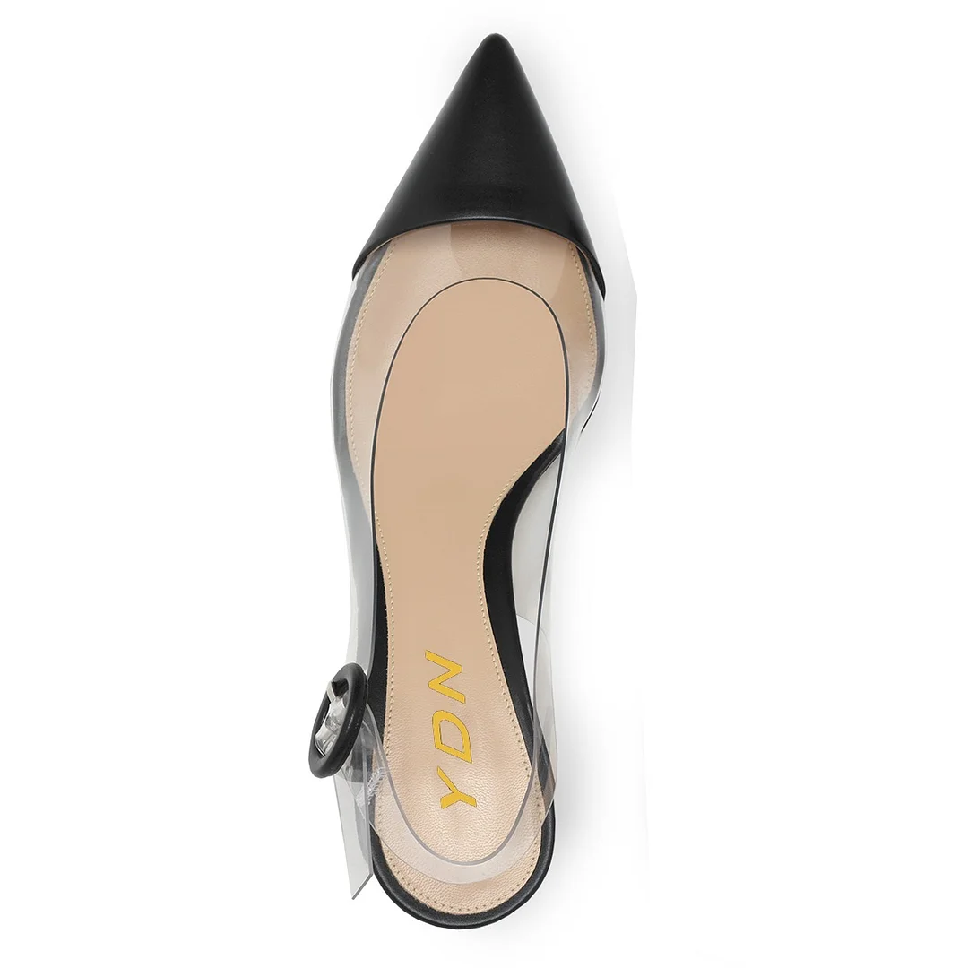 Pointed Toe Clear Strap Slingback Buckle Low Heel Pumps in Black